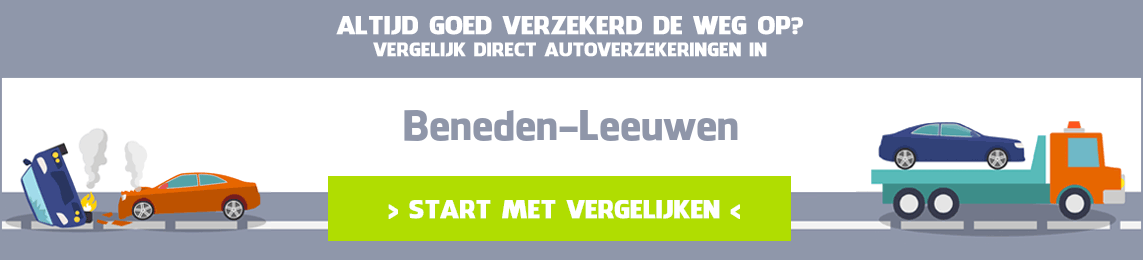 autoverzekering Beneden-Leeuwen